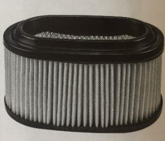 H100AIRFFL - AIR FILTER (FL)